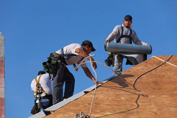 Best Roof Gutter Cleaning  in West Hattiesburg, MS